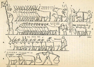 1854 Woodcut Ancient Egyptian Livestock Agriculture Archaeology XGP5