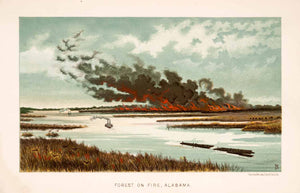 1883 Chromolithograph Forest Fire Alabama Landscape Thomas Unett XGPA4