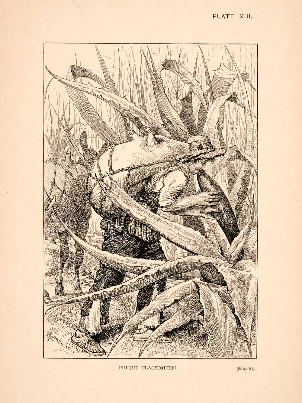1883 Wood Engraving Tlachiquero Plant Water Portrait Farmer Thomas XGPA4