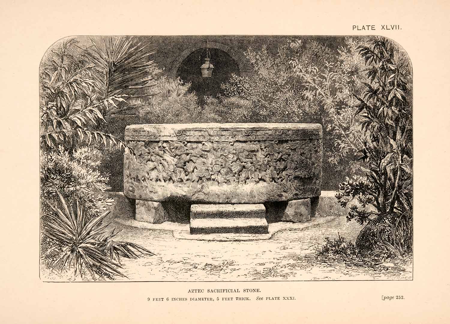 1883 Wood Engraving Aztec Sacrificial Stone Ancient Mexico Thomas XGPA4