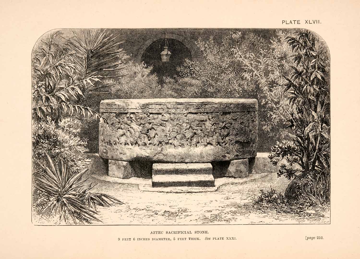 Aztec Sacrificial Stone