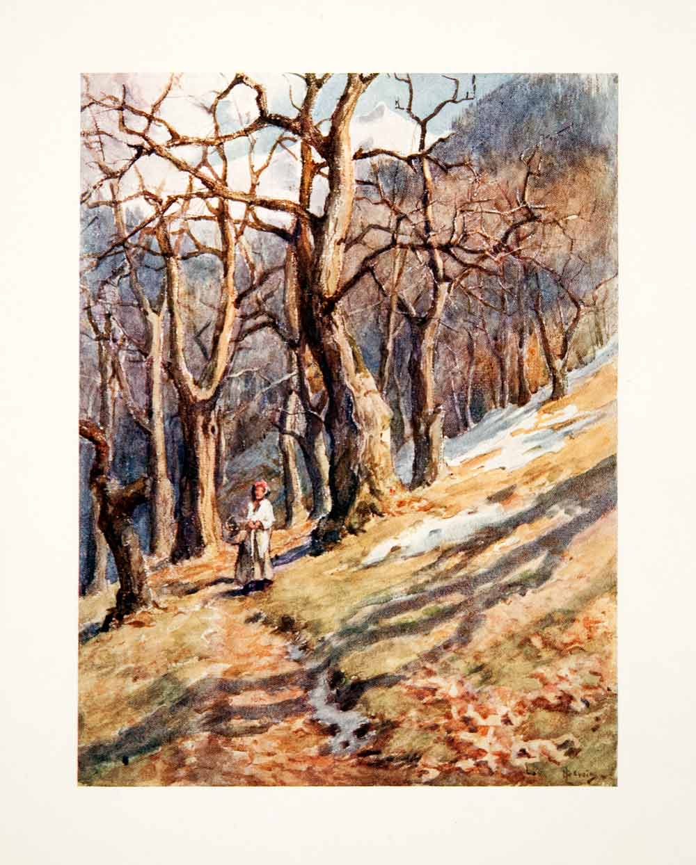 1908 Color Print Last Snow Wooded Slopes Geneva May Hardwicke Lewis XGPB2