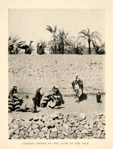 1914 Print Onion Bags Load Agriculture Bank Nile River Egypt Camels XGPB4