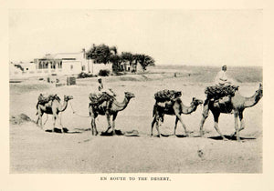 1914 Print Camel Train En Route Desert Haul Animal Egypt Landscape XGPB4