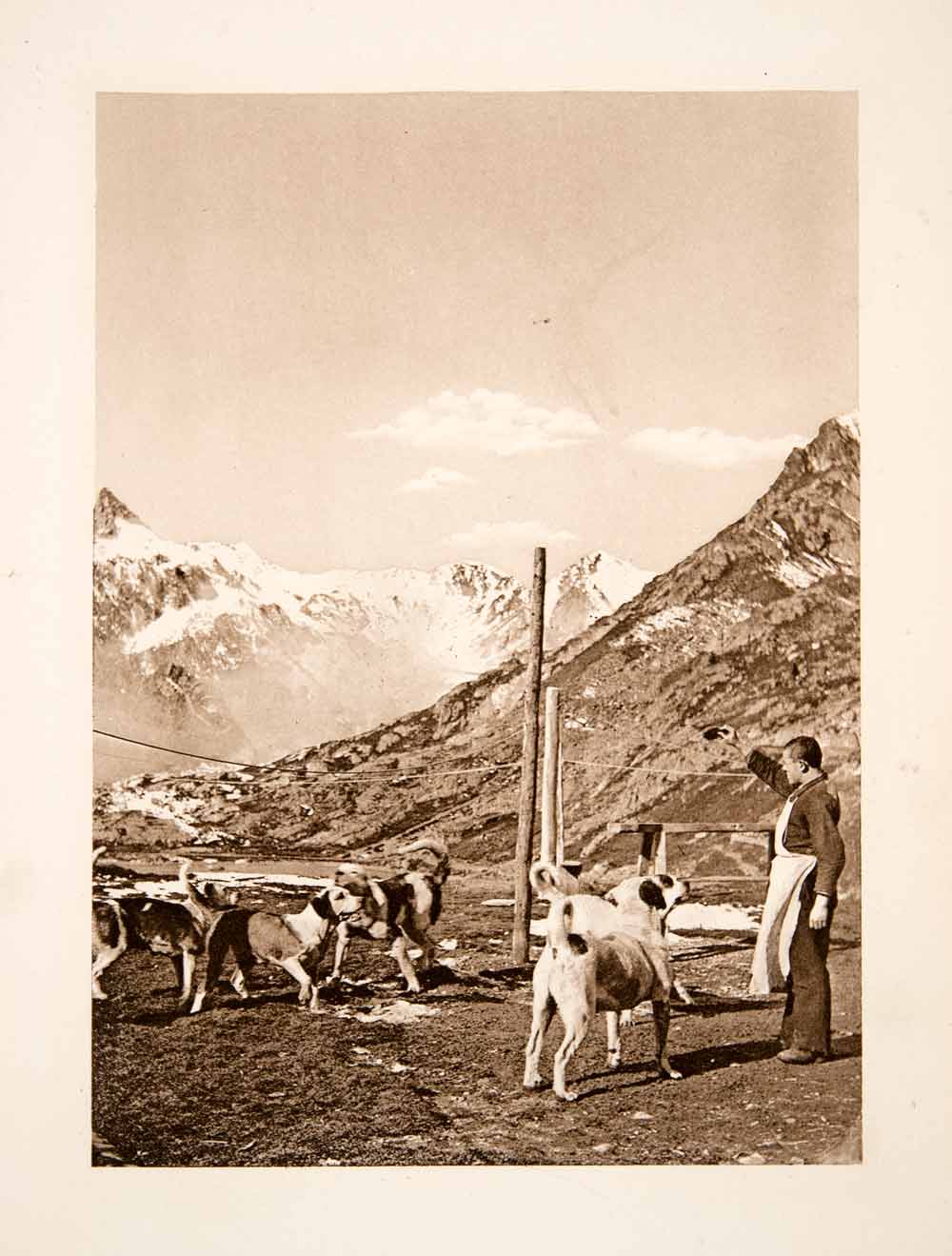 1904 Photogravure St. Bernard Pass Switzerland Mountain Natural History XGPB7