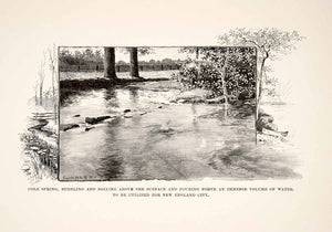 1890 Print Cole Spring New England City Georgia Outdoors Forest Water XGPC9