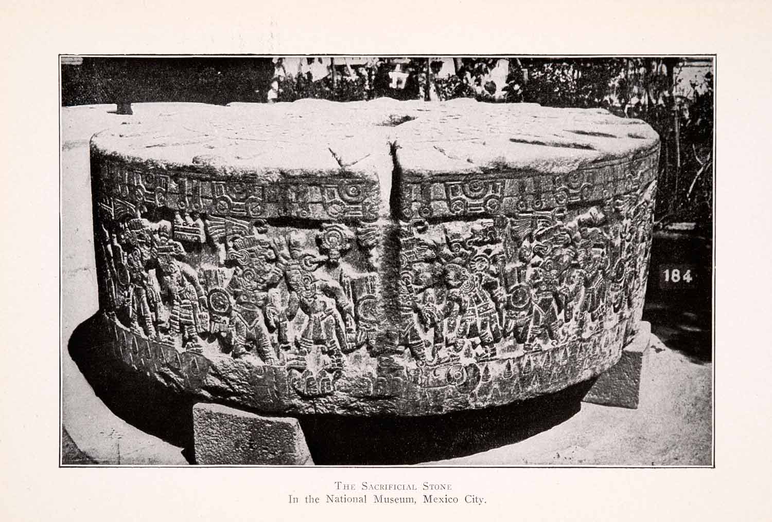1911 Halftone Print Aztec Sacrificial Stone National Museum Mexico City XGQA5