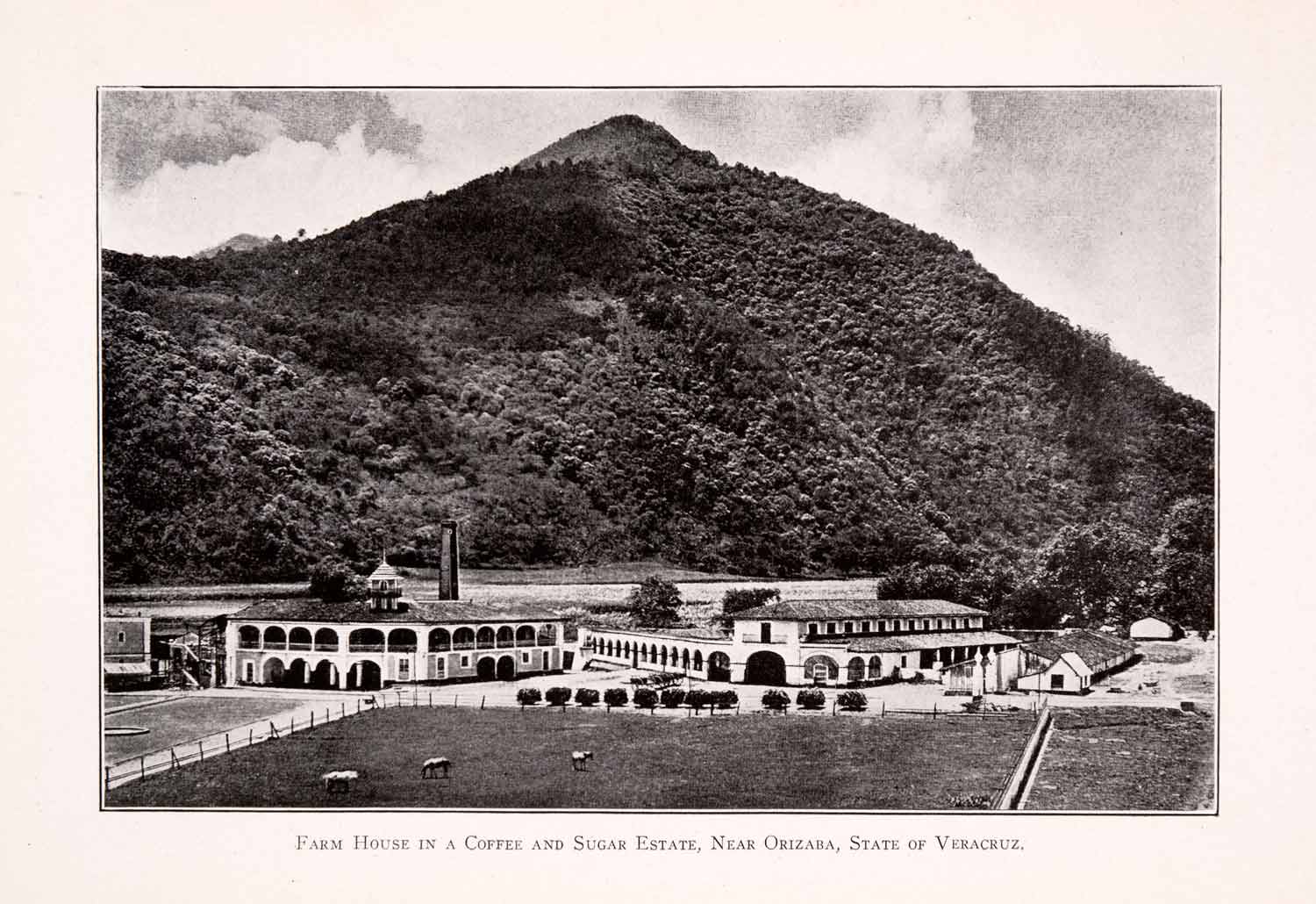 1911 Halftone Print Farm House Coffee Sugar Estate Orizaba Veracruz Mexico XGQA5