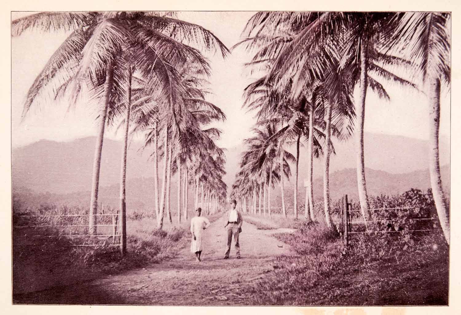 1897 Halftone Print Queens Park Savannah Spain Palm Tree Road Tropical XGQA9