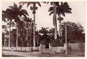 1897 Halftone Print St. Ann Road Trinidad Tobago Streetscape Historic XGQA9