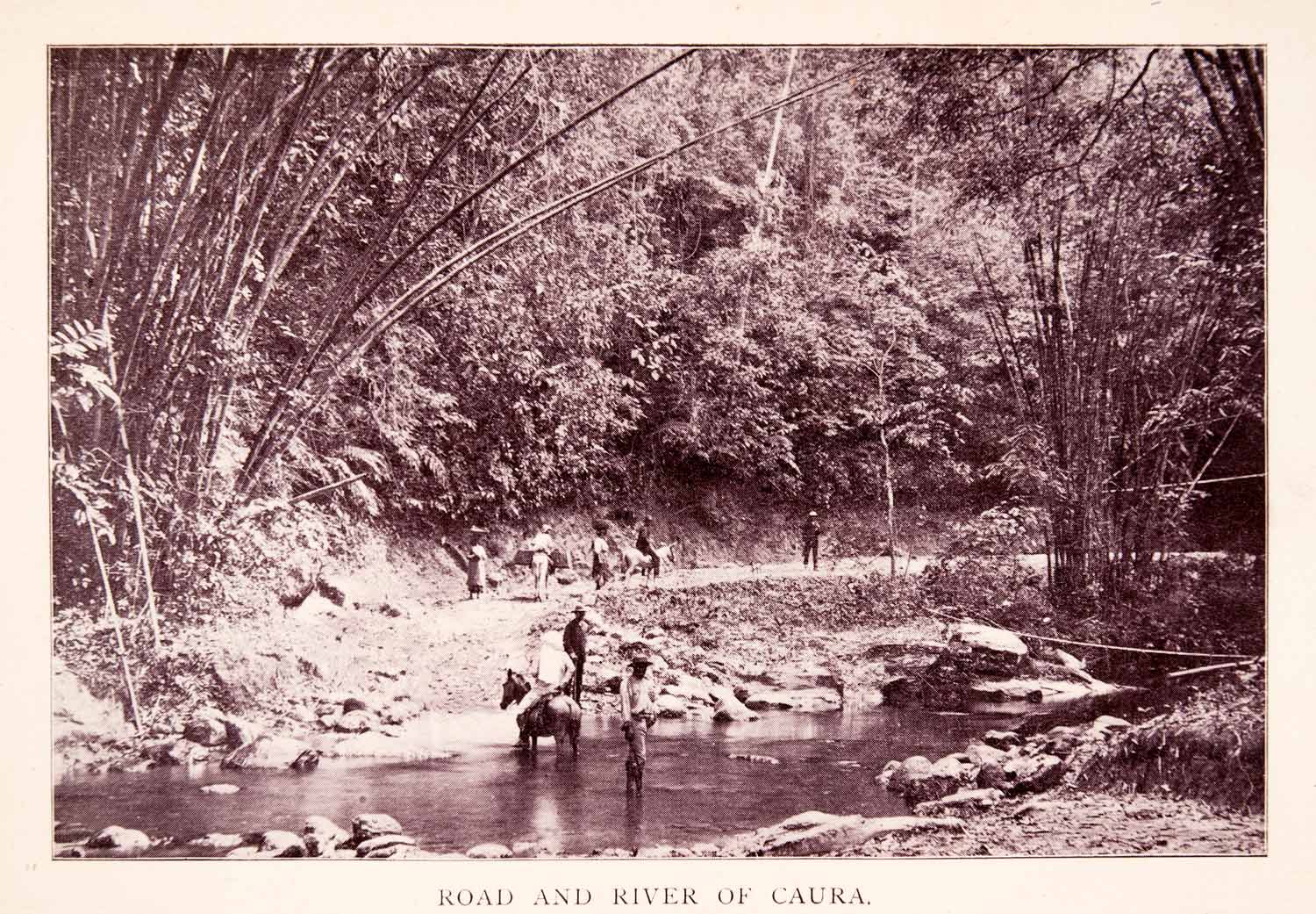 1897 Halftone Print Caura Orinoco River Travelers Venezuela Historic Image XGQA9