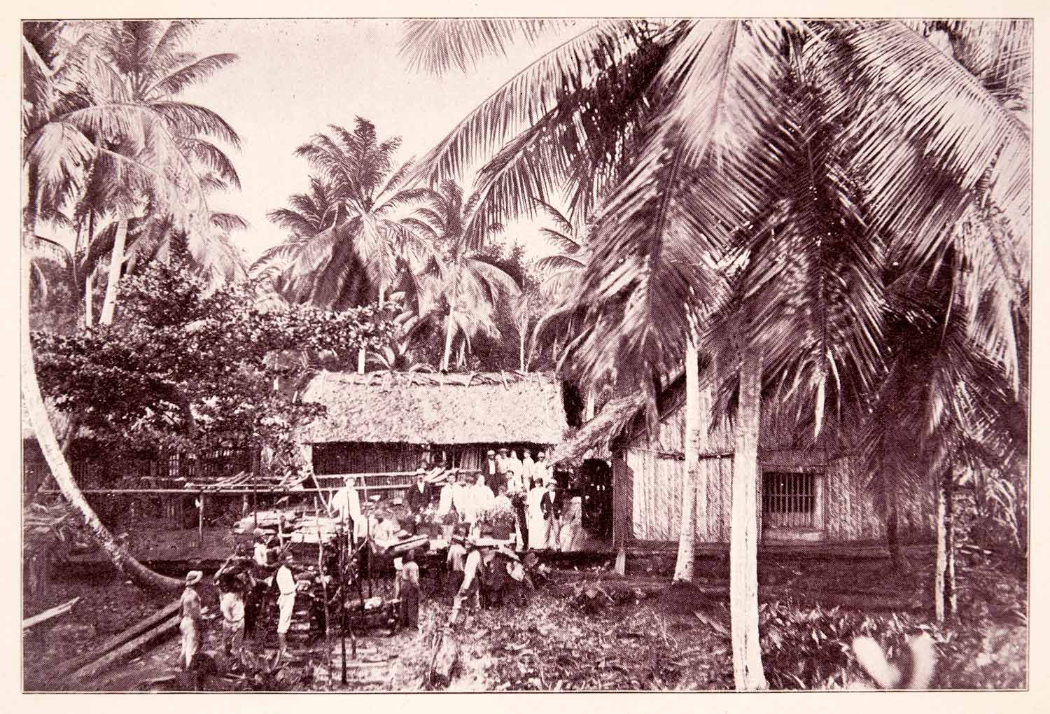 1897 Print Bolivar Venezuela Huts Rural Homes Tropical Palm Trees Historic XGQA9