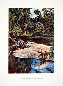 1906 Color Print Liberia Stream Africa Dry Season Landscape Harry Johnston XGQB5