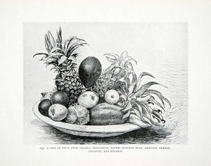 1906 Print Harry Johnston Still Life Art Liberia Africa Fruit Bowl Avocado XGQB5