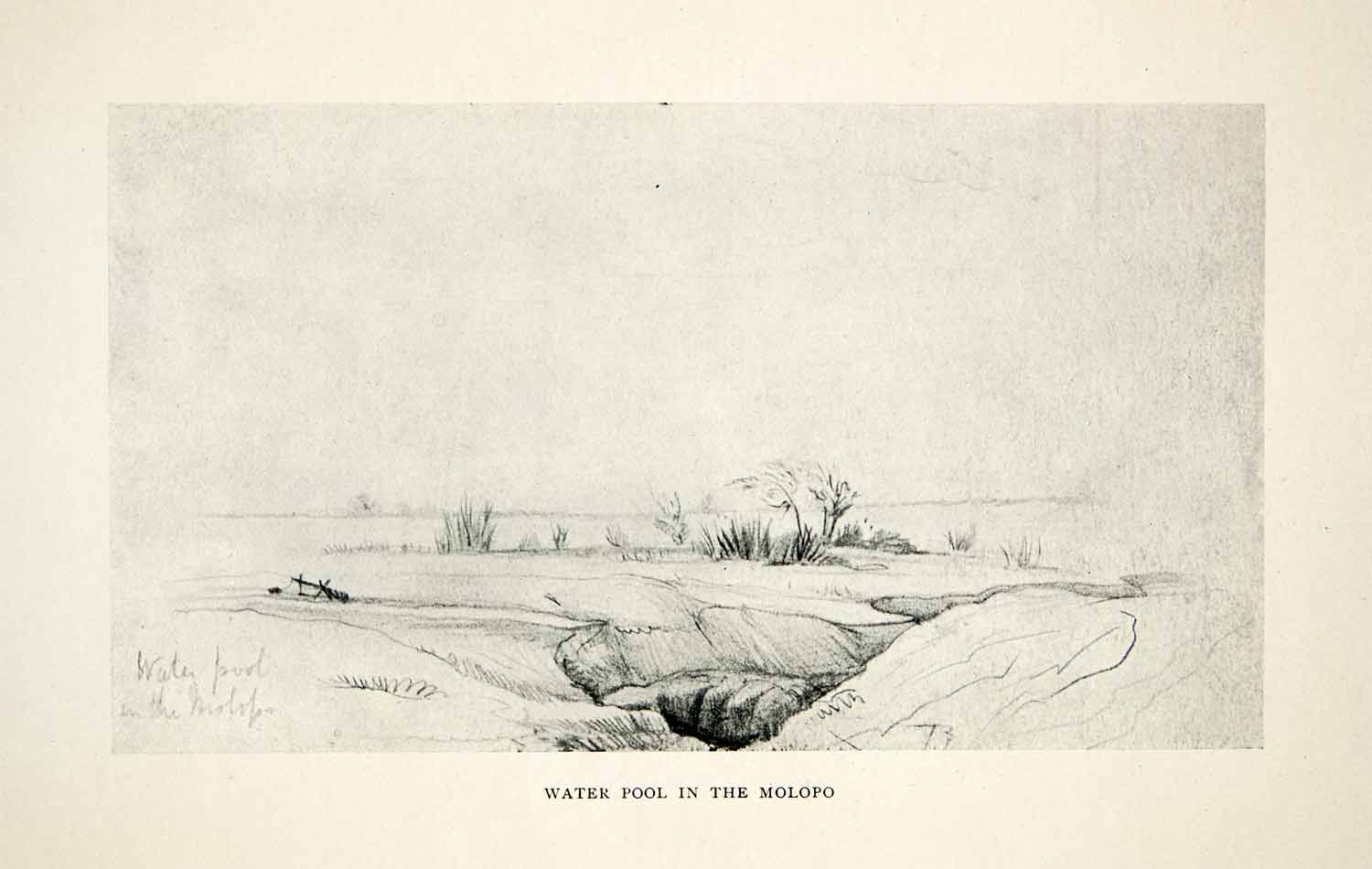 1924 Print Alfred Dolman Water Pool Molopo River Southern Africa Bostwana XGQB8