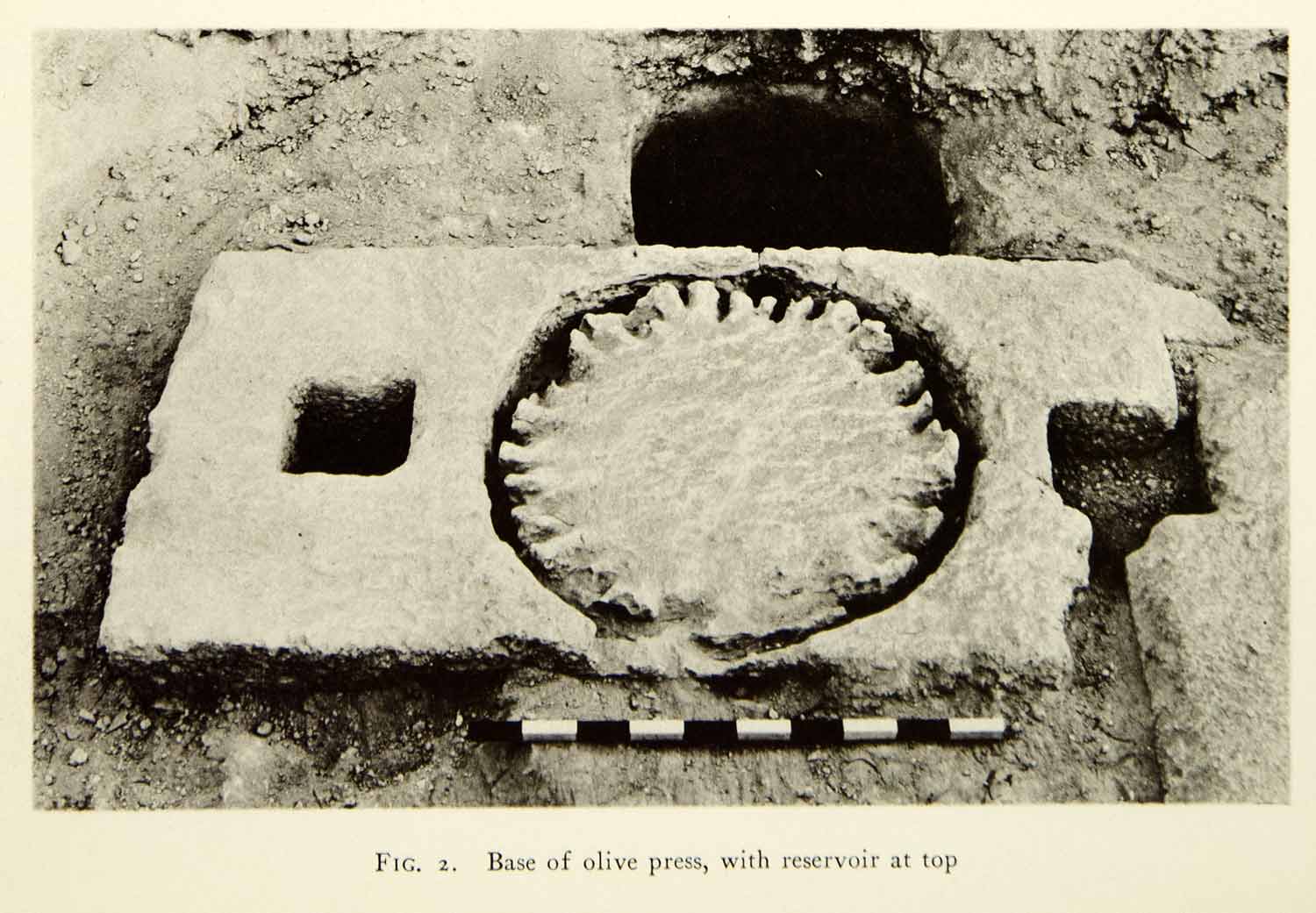 1937 Collotype Olive Press Reservoir Archeology Israel Tzippori Sepphoris XGQC3