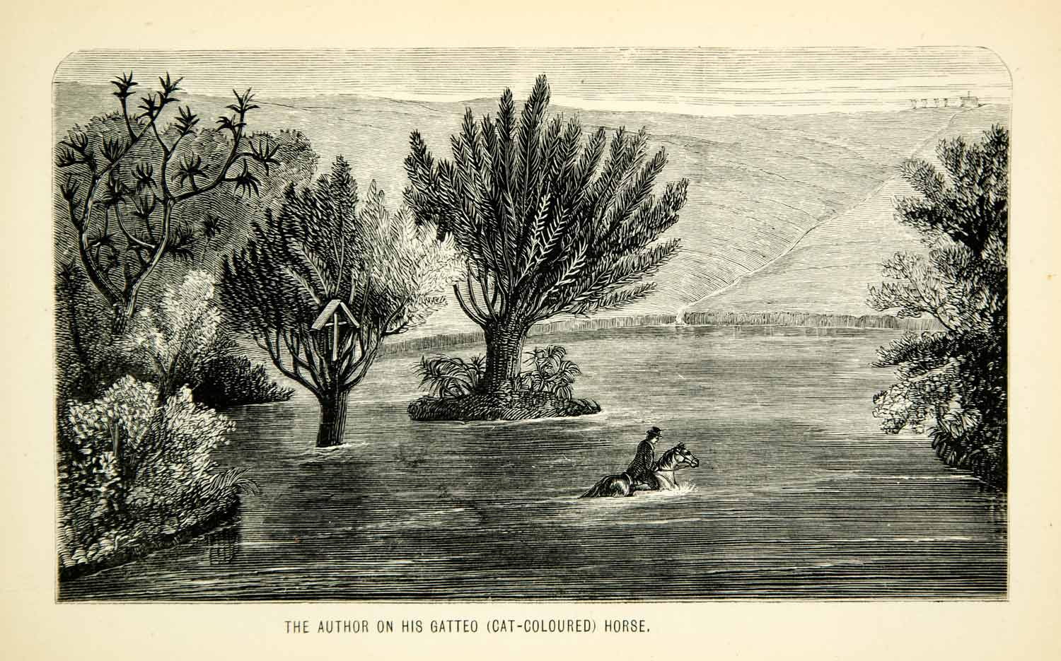 1871 Wood Engraving John H Murray Horse Reverend Flood Uruguay Inundation XGQC5