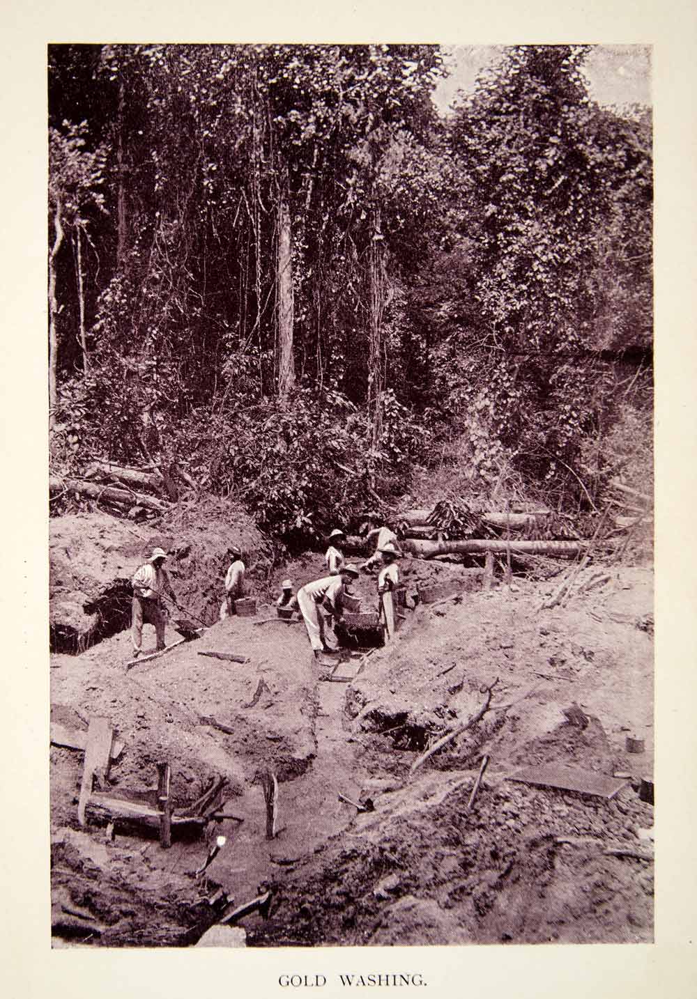 1907 Print Gold Washing Panning Rainforest British Guiana Guyana South XGQC8