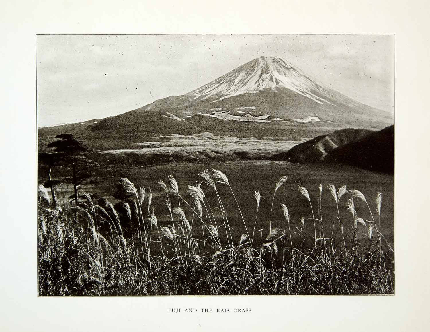 1922 Print Mount Fuji Yama Lake Motosu Kaia Grass Bamboo Tokyo Japan XGQC9