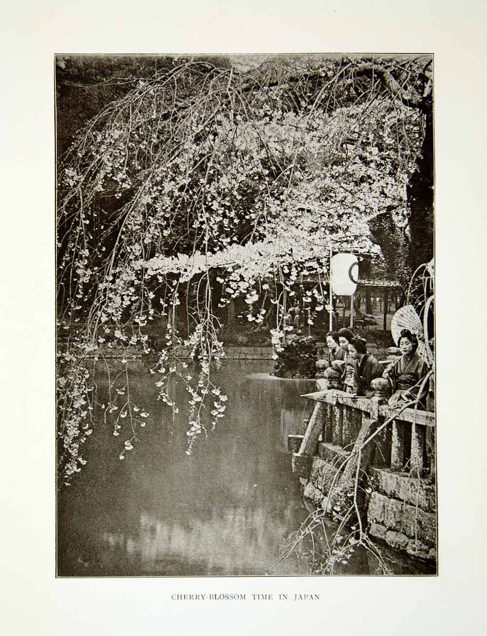 1922 Print Shiba Palace Garden Onshi Koen Cherry Blossom Pond Minato Tokyo XGQC9