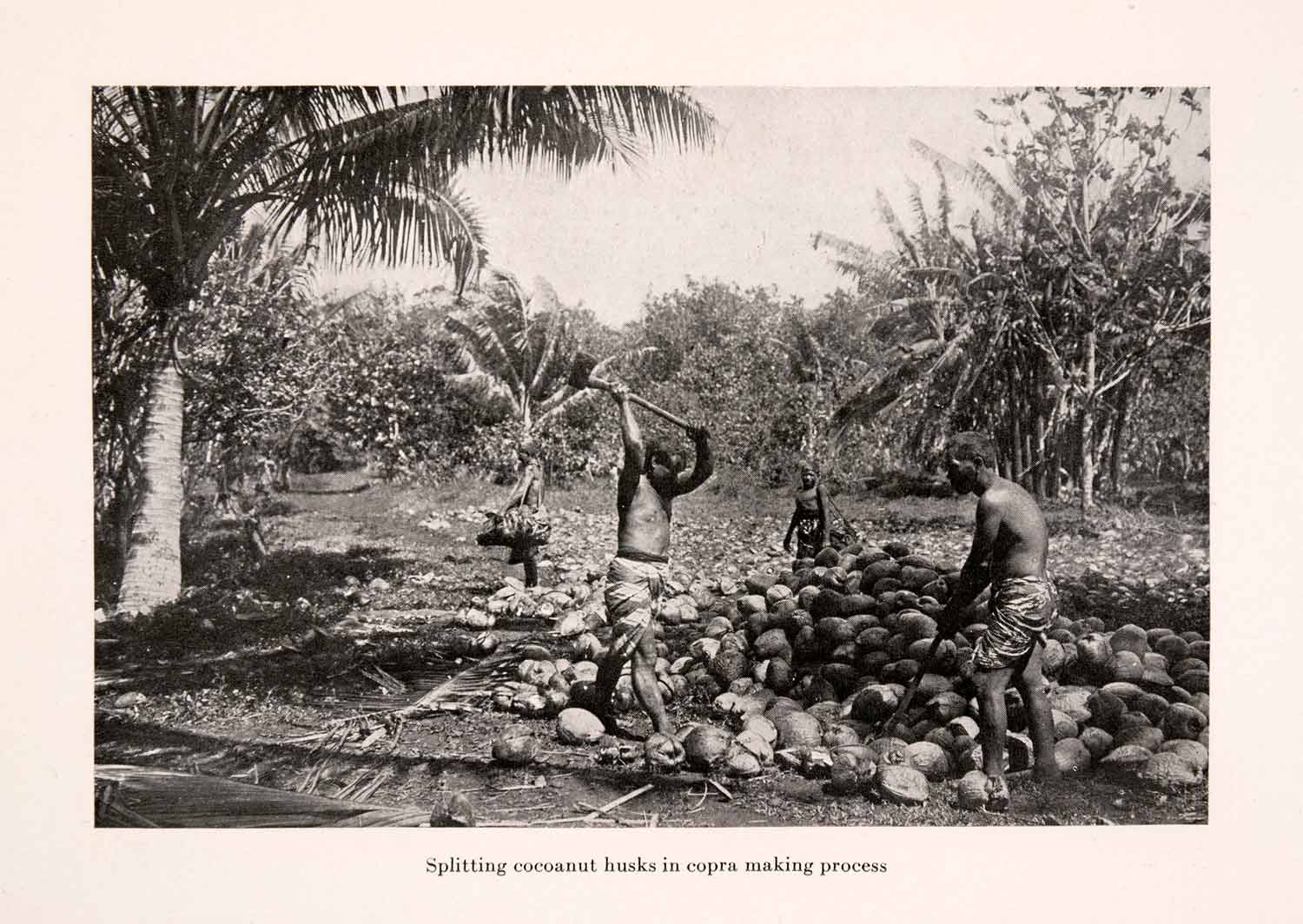 1920 Halftone Print Coconut Husk Native Copra Process Tradition French XGRA1