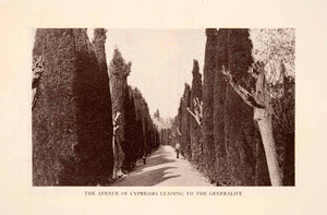 1929 Halftone Print Avenue Passageway Road Cypresses Leading Generalife XGRA2