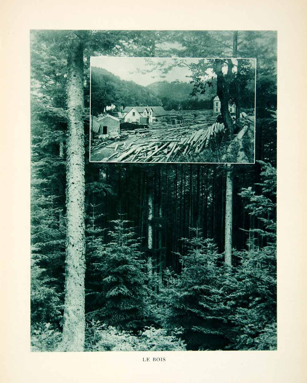 1937 Rotogravure Le Bois France Timber Forest Historic Image Eyraud XGRC2