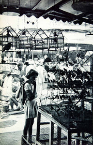 1955 Rotogravure Mumbai Bombay India Boy Pet Bird Cage Marketplace Bazaar XGRC8
