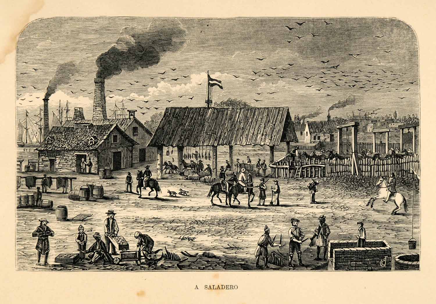 1865 Wood Engraving Saladero Argentina Industry Slaughterhouse Histori