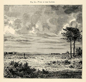 1882 Wood Engraving Lege France Haute-Garonne Landscape Tree Baren XGS6