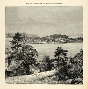 1882 Wood Engraving Christiania Kristiania Oslo Norway Scandinavia Gulf XGS6