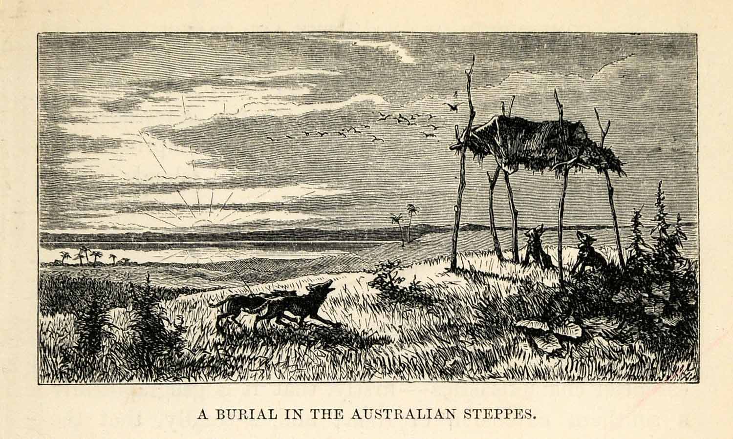 1879 Wood Engraving Burial Australia Steppes Grave Animal Wildlife Canine XGS9