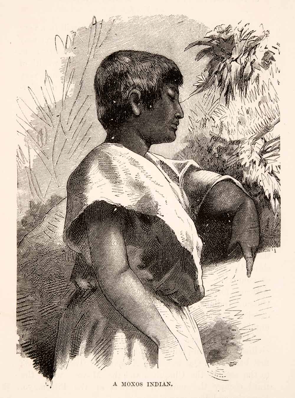 1878 Wood Engraving Bolivia Moxo Indian Mojo Indigenous Tribal Tribes XGSA2