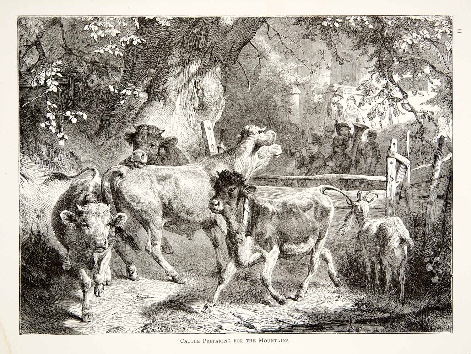 1891 Wood Engraving Switzerland Cow Cattle Calf Goat Musician Agriculture XGSB1