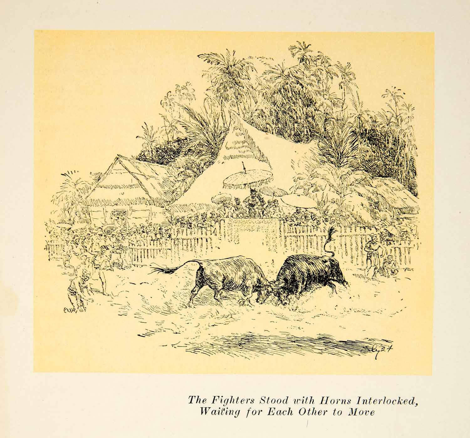 1924 Print Bullfighting Adu Kerbau Indonesia Spectators Sumatran Water XGSC9