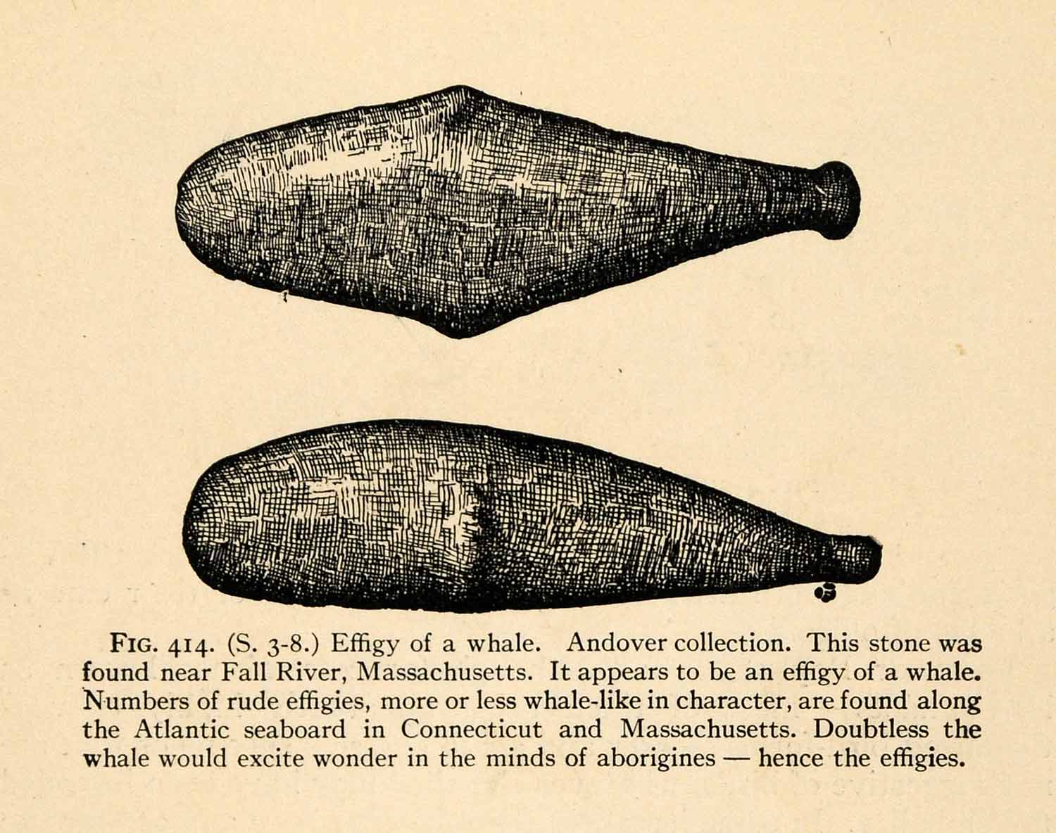 1910 Print Stone Effigy Archeology Whale Atlantic Massachusetts Neolithic XGT1