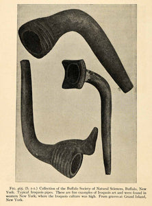 1910 Print Buffalo Society Natural Sciences Buffalo Iroquois Pipe Grand XGT1