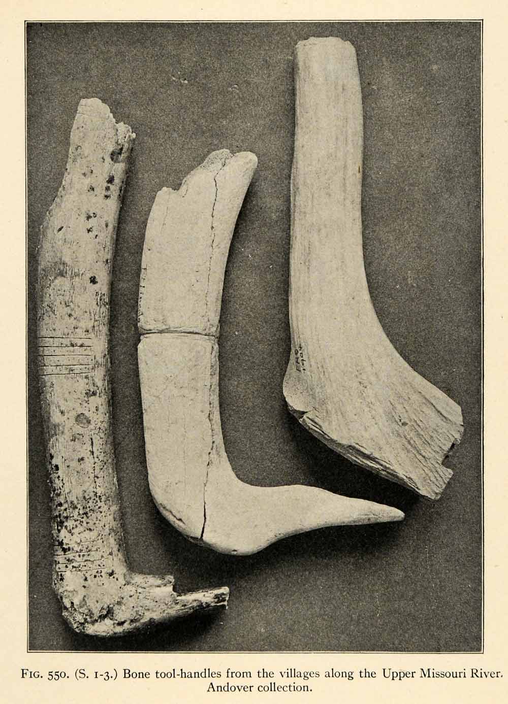1910 Print Bone Tool Missouri River Andover Instrument Native American XGT1