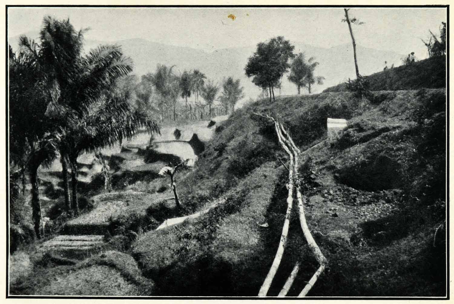 1934 Print Native Irrigation System Pipeline Bamboo Primitive Java XGT4