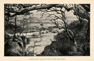 1902 Print Inja Ka Fura Africa Tennyson Cole Jungle Wilderness Valley XGT6