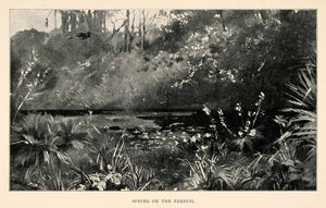 1902 Print Tennyson Cole Zambezi River Spring Jungle Bird Lily Flower XGT6