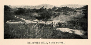 1902 Print Melsetter Road Umtali Bridge Mozambique Africa Tennyson Cole XGT6