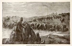 1884 Wood Engraving Gondokoro Sudan Africa Savanna Hunter Elephant Herd XGTA6
