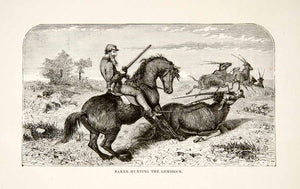 1884 Wood Engraving Baker Hunter Gemsbok Antelope Rifle Horse Savanna XGTA6