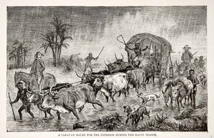 1884 Wood Engraving Stanley Caravan Expedition Africa Oxen Wagon Donkey XGTA6