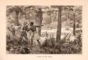 1872 Wood Engraving Africa Henry Morton Stanley Weapon Jungle Lion Animal XGTA7