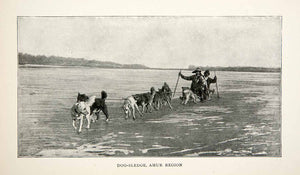 1900 Print Dog Sled Amur Russia Sledge Siberia Race Ice Winter Landscape XGTA8