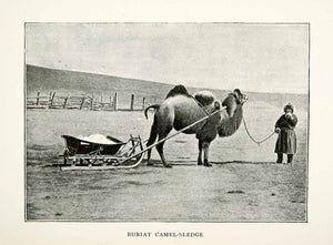 1900 Print Buryats Buriats Buriyads Siberia Russia Camel Sledge Harness XGTA8