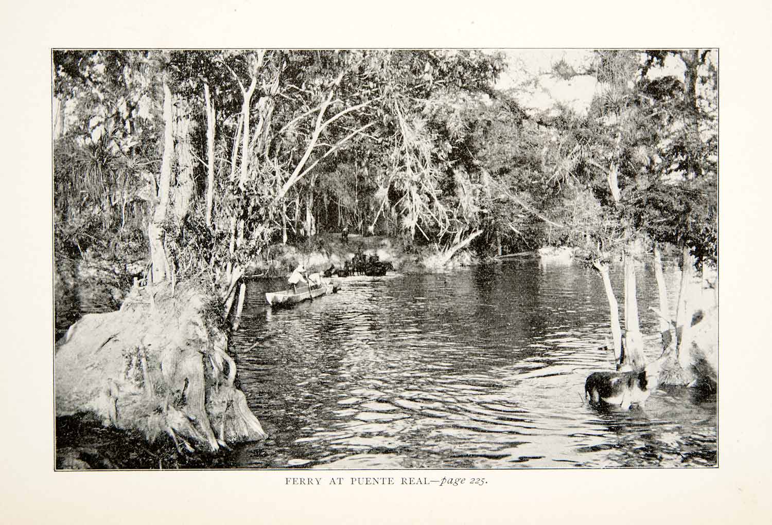 1899 Print Ferry Puente Real Canoe Paddle Donkey Burro River Mexico Jungle XGTB2