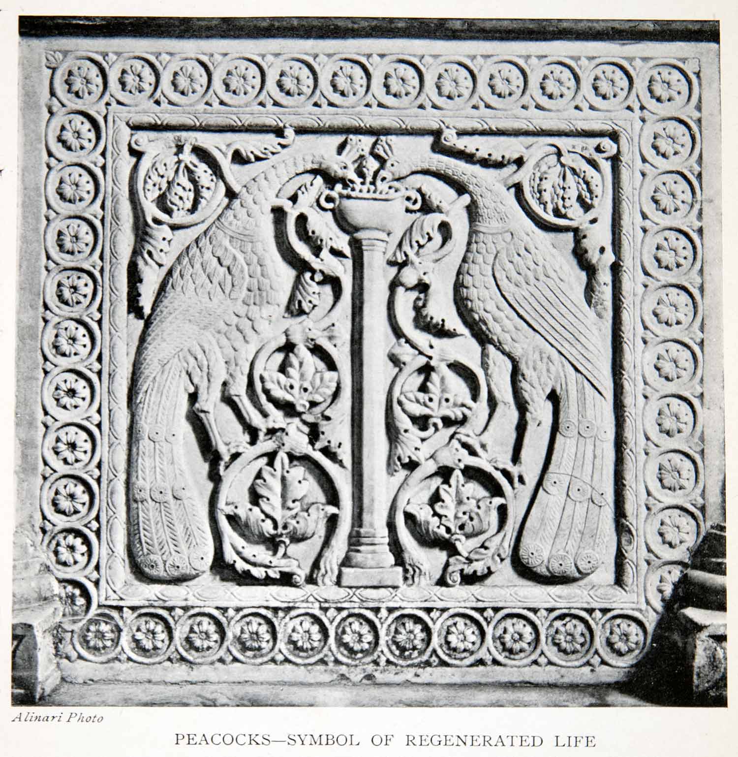 1907 Print Ca Da Mosta Palazzo Palace Facade Sculpture Peacock Venice XGTB4